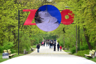 W ZOO zamieszkały zwierzęta, których… nie widać!? „Powodzenia w poszukiwaniach!”