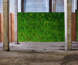 Green Decor