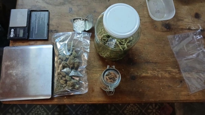 Kilogramy narkotyków i specjalistyczna uprawa