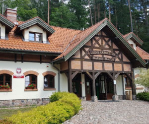 Leśne Arboretum Warmii i Mazur w Kudypach