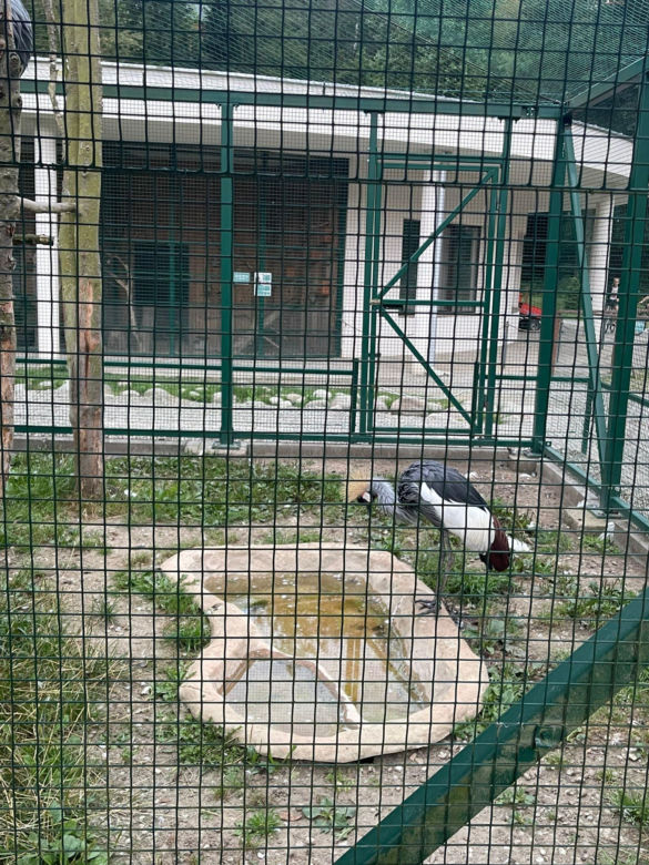 Muszyńskie ogrody zachwycają pięknem. Wyjątkowe miejsce na mapie Małopolski 