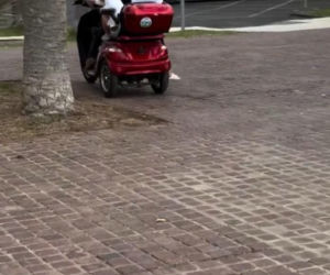 Olga Frycz dostała wyjątkowy prezent od ukochanego. To trzeba zobaczyć na własne oczy!