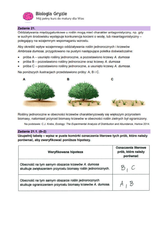 Matura 2024: biologia. Arkusze CKE i odpowiedzi. Poziom rozszerzony [Formuła 2023]