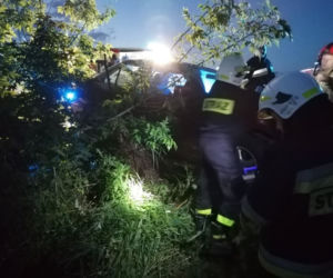 Pies wyskoczył wprost pod koła BMW. Matka z dziećmi zjechała do rowu [ZDJĘCIA]