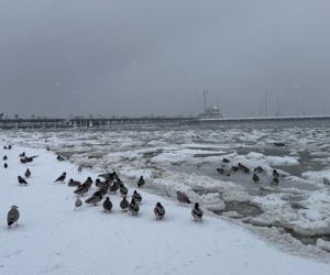 Bałtyk zimową porą, uchwycony w kadrach