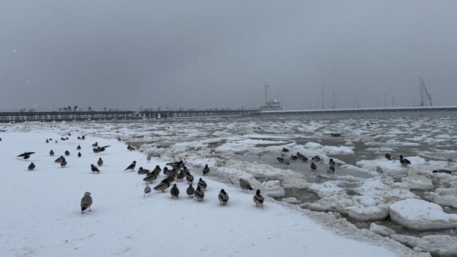 Czesi szukają skarbu! Szaleństwo na Mierzei Wiślanej