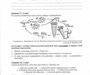 MATURA 2012 BIOLOGIA poziom ROZSZERZONY 14.05.2012 - ARKUSZE, ZADANIA, PYTANIA, ODPOWIEDZI