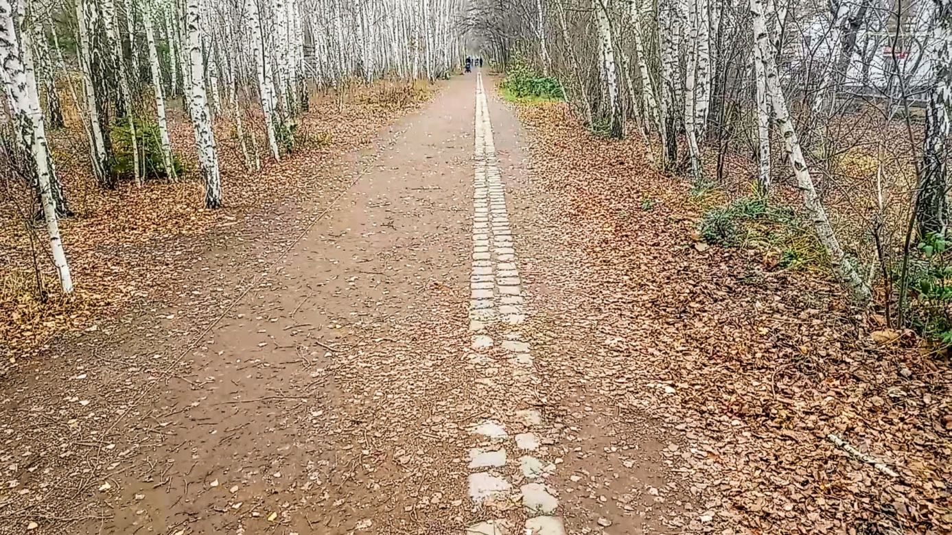 Park ze śladami przeszłości