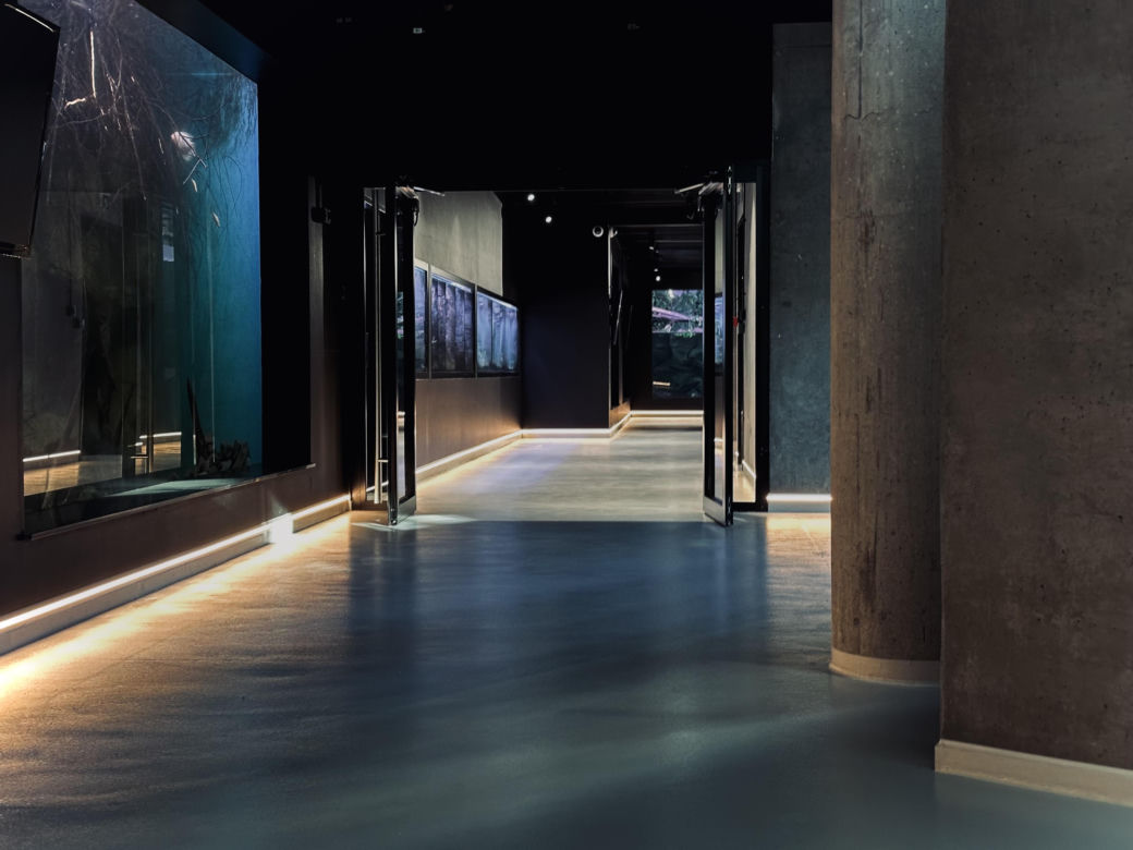 Nowe Egzotarium w Sosnowcu