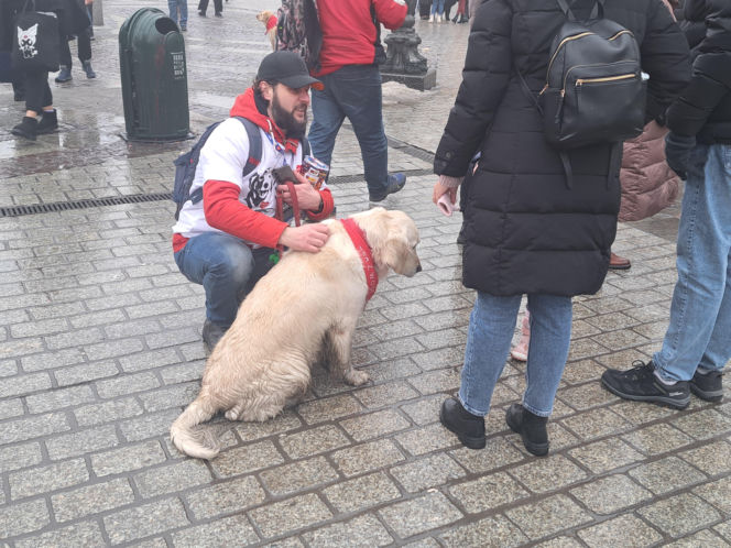 34. finał WOŚP w Krakowie. Golden Retrievery na Rynku Głównym