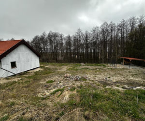 Zabrali dzieciom psa. Urzędnicy przyznali później: nie było podstaw!