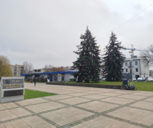 Choinka miejska Siedlce