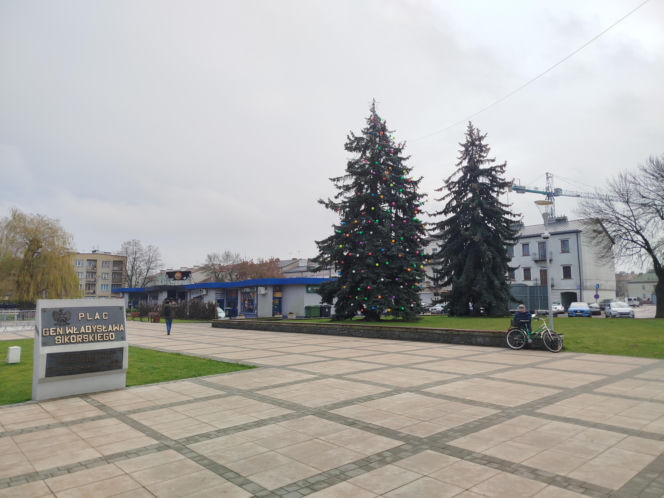 Choinka miejska Siedlce