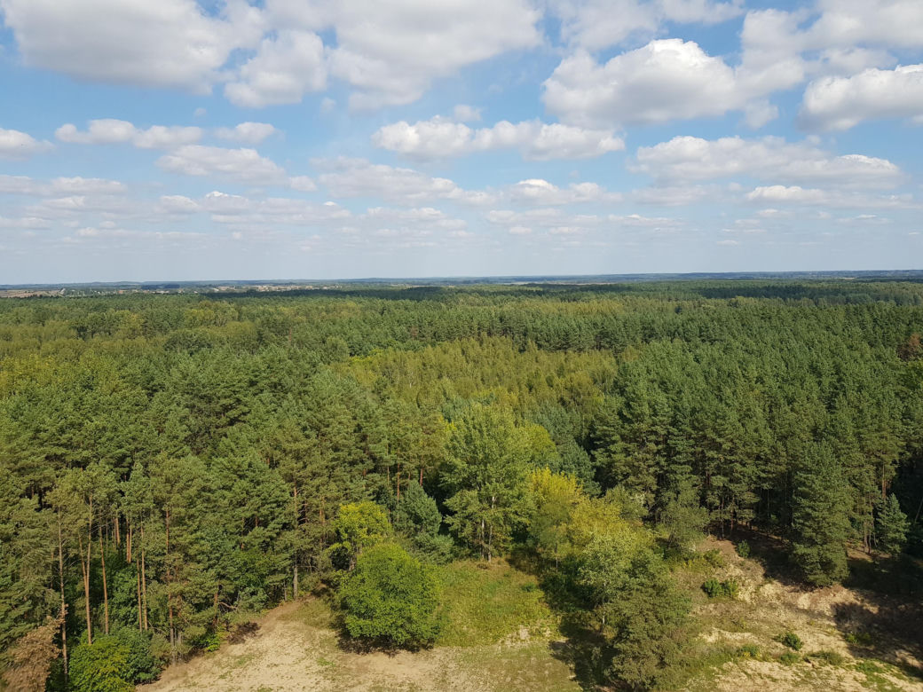 Wieża widokowa w Uhowie. To najwyższa wieża na Podlasiu [ZDJĘCIA]