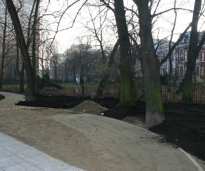 Otoczenie Centrum Chopinowskiego