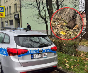 Niedaleko szkoły w Gliwicach znaleziono niewybuch. Miasto stanęło