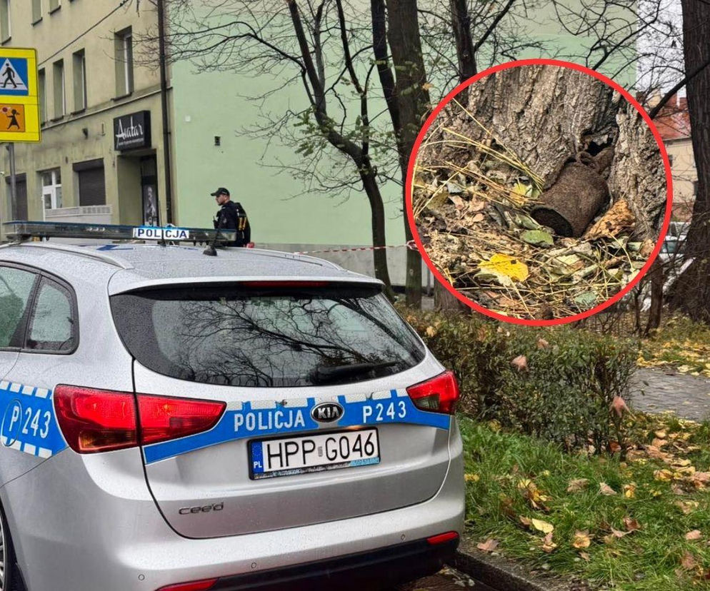 Niedaleko szkoły w Gliwicach znaleziono niewybuch. Miasto stanęło