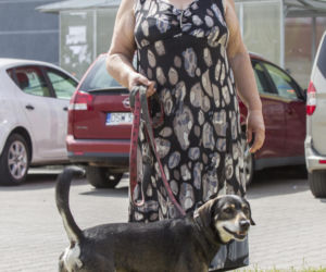 To ona znalazła zwłoki 10-letniej Kristiny