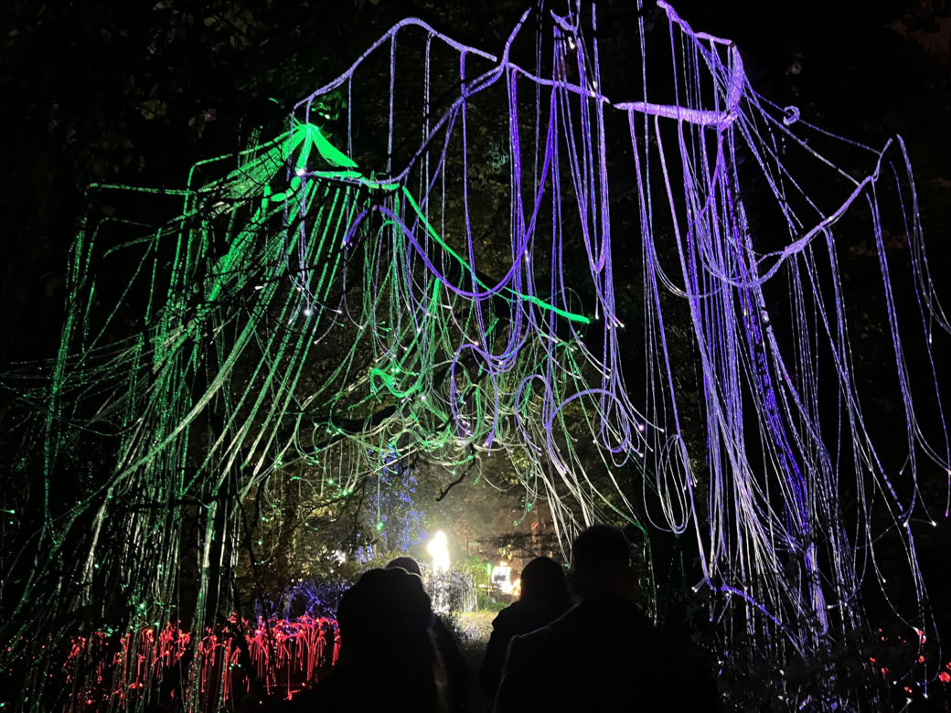 Lumina Park w Poznaniu. Multimedialny spacer w milionie świateł powraca w nowej odsłonie