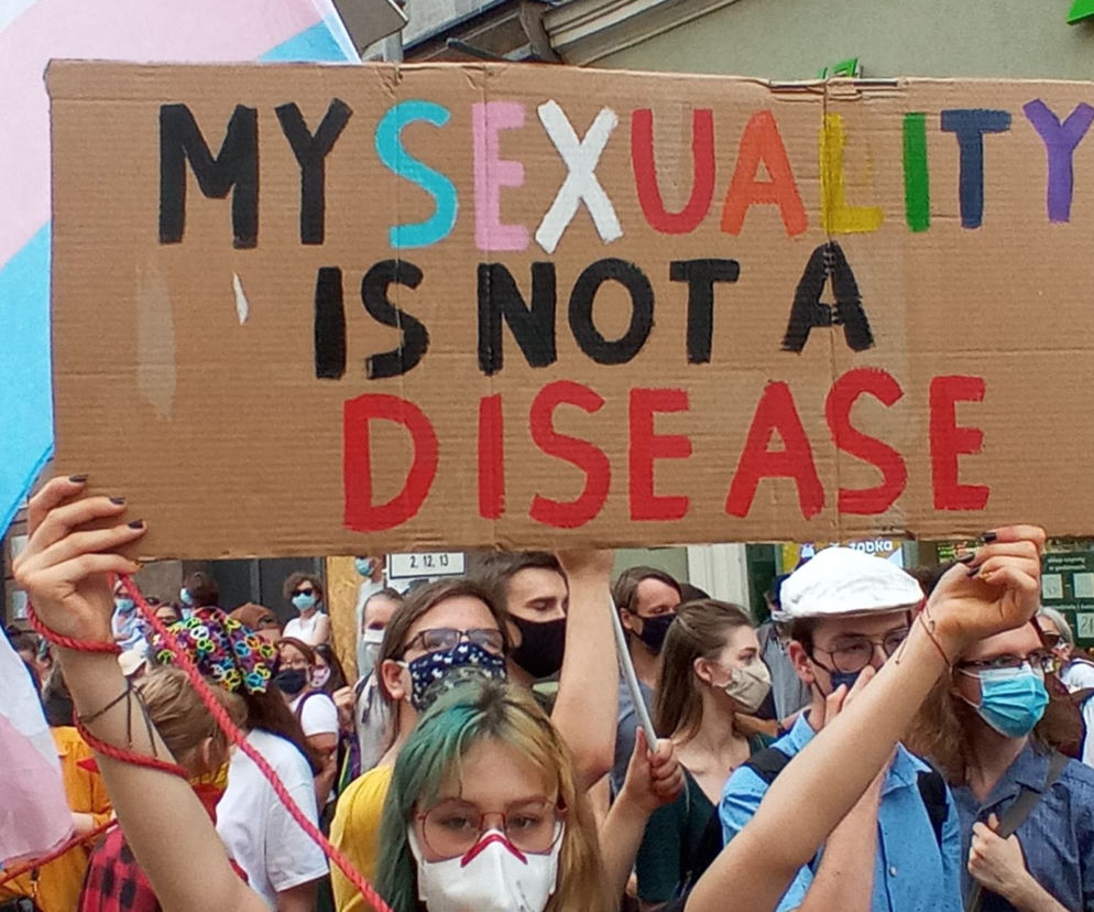 Poznań bronił TĘCZY i wyraził solidarność z Margot