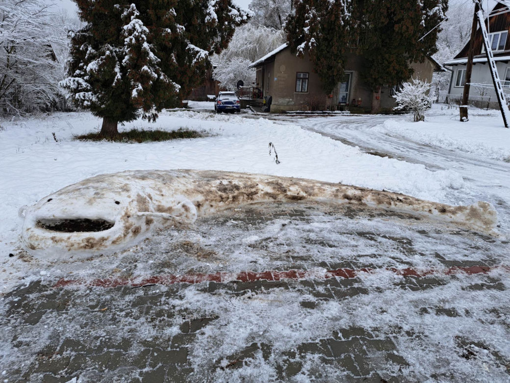 Ulepił ze śniego gigantyczne ryby