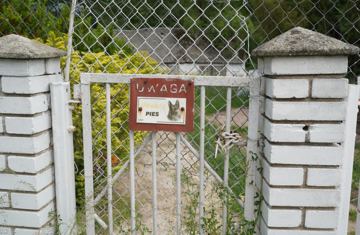 Rodzinny koszmar pod Suwałkami