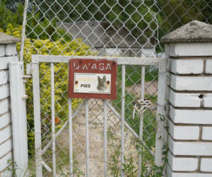 Płot, psy i lata milczenia. Mieszkańcy Wiatrołuży wciąż nie mogą uwierzyć