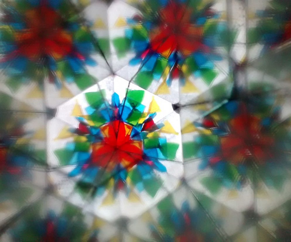 Wsytawa jesto do obejrzenia w Centrum Przyrodniczym w Zielonej Górze