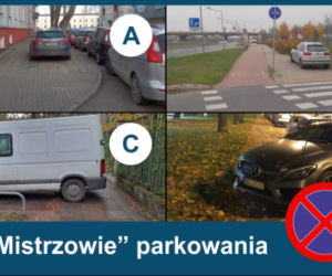 Mistrzowie Parkowania - Listopad 2020