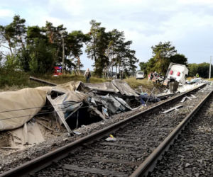 Tir przewoził paszę dla zwierząt