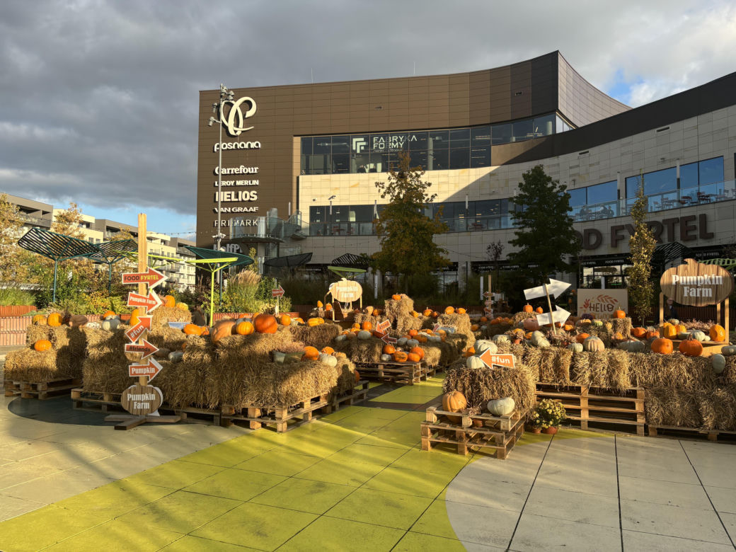Zobacz, jak poznańskie świętują Halloween
