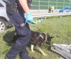 TRAGICZNY wypadek na A1. Kierowcę WYRZUCIŁO z auta, drugie DACHOWAŁO. Sprawca UCIEKŁ pozostawiajac samochód