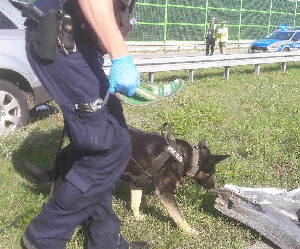 TRAGICZNY wypadek na A1. Kierowcę WYRZUCIŁO z auta, drugie DACHOWAŁO. Sprawca UCIEKŁ pozostawiajac samochód