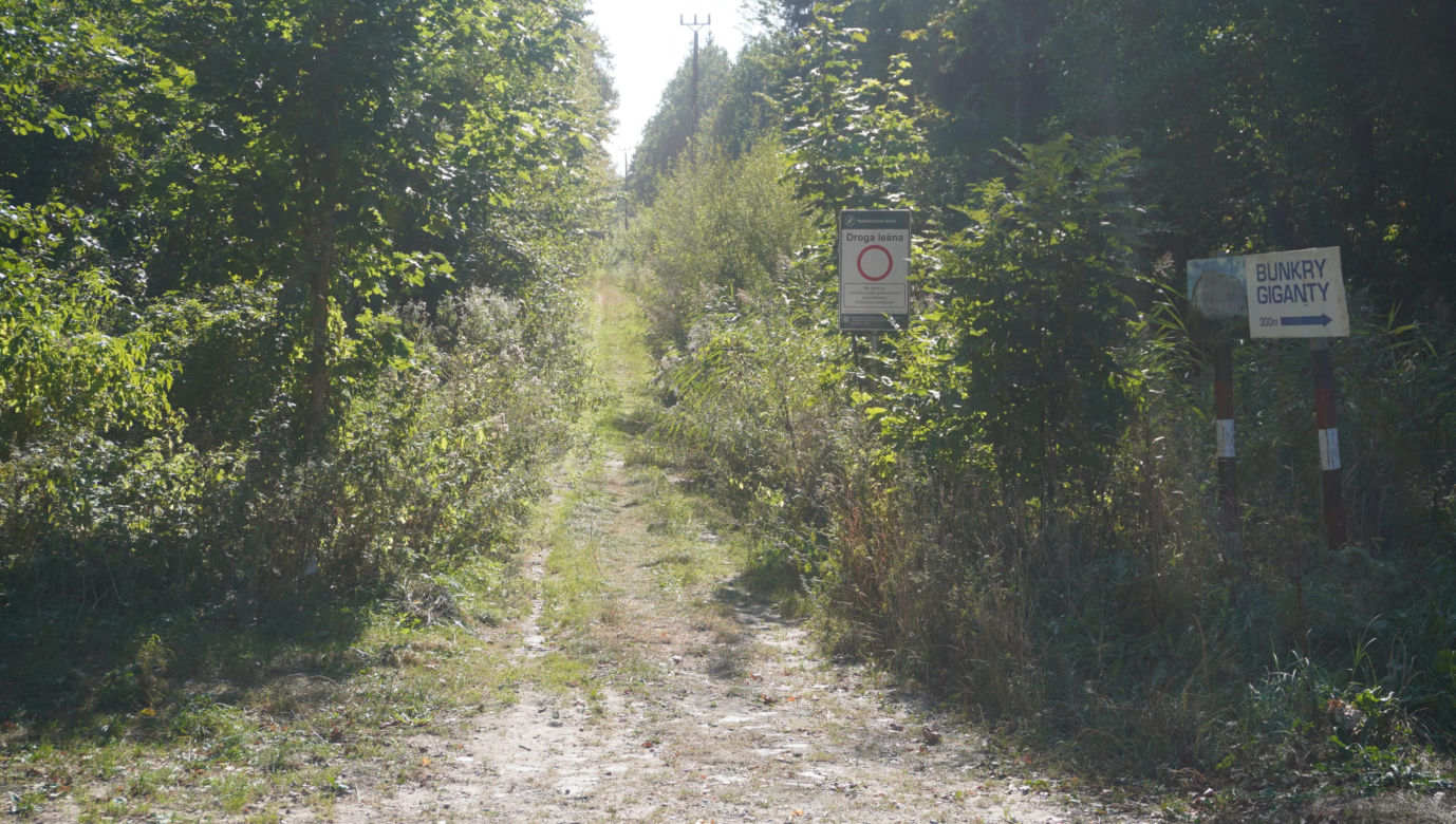 Bunkry na Mazurach wybudowane dla żołnierzy Wehrmachtu. To tu miała być ukryta Bursztynowa Komnata [ZDJĘCIA]