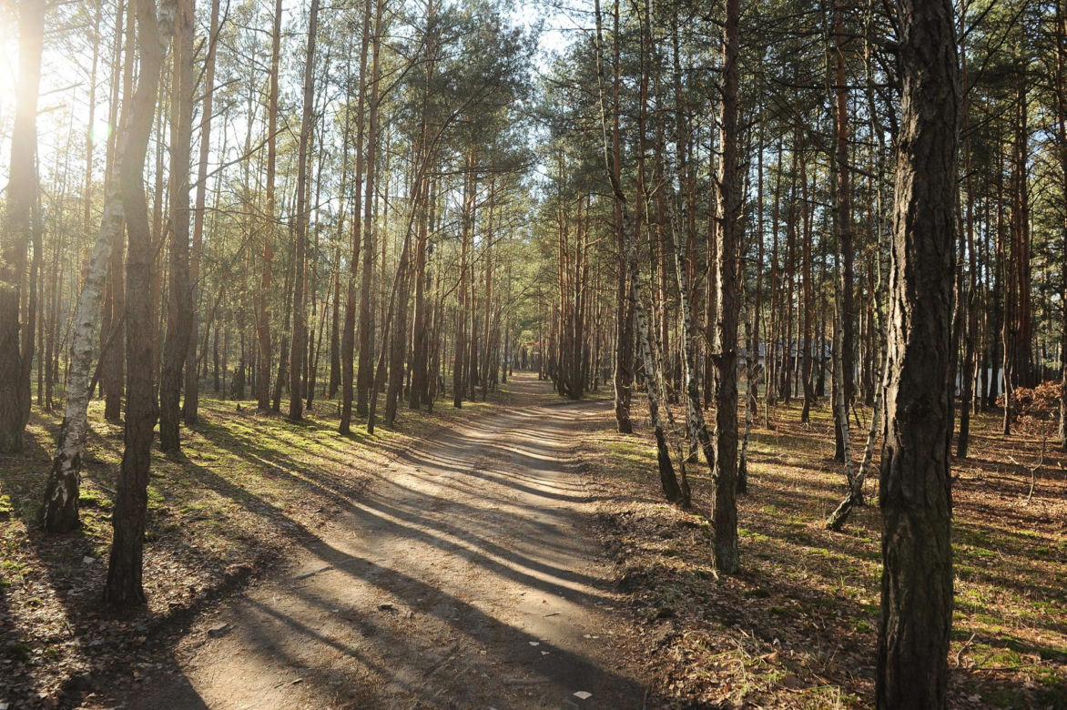 Wesoła