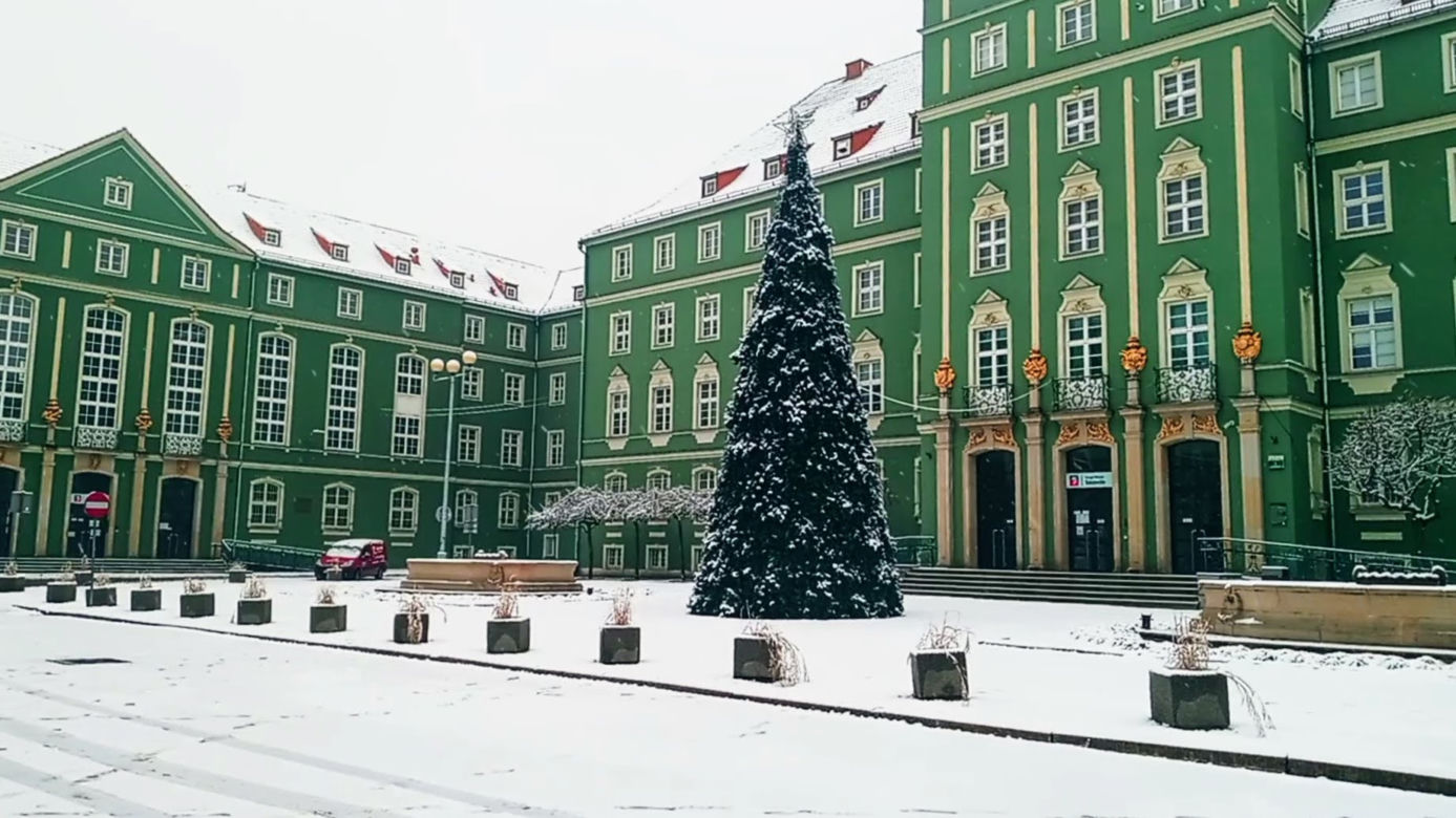 Pierwszy śnieg w Szczecinie