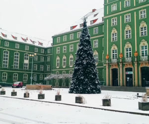 Pierwszy śnieg w Szczecinie