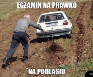Memy o Podlasiu 2019. Prawdziwy HIT internetu