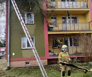 Interwencje Strażaków przy likwidacji szkód spowodowanych przez gwałtowny wiatr i burze
