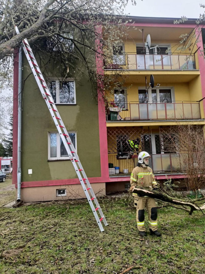 Interwencje Strażaków przy likwidacji szkód spowodowanych przez gwałtowny wiatr i burze