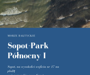 Sinice w Bałtyku 2021. Te kąpieliska są zamknięte. Woda ma kolor zielony!