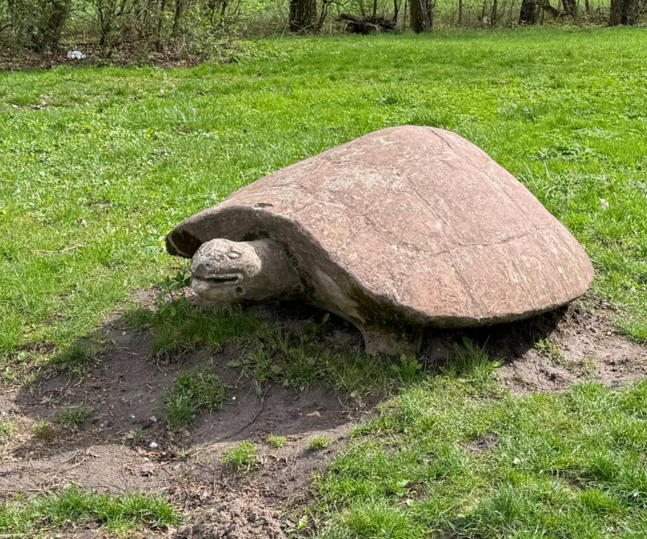 W Łęcznej znajdziecie najdziwniejszych park jurajski w Polsce. Zobacz zdjęcia!