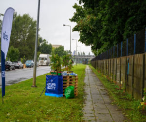 Zielone ogrodzenie przy płocie okalającym Grupę Azoty w Tarnowie