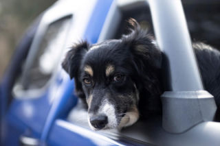 O Klarze, która jeździła koleją