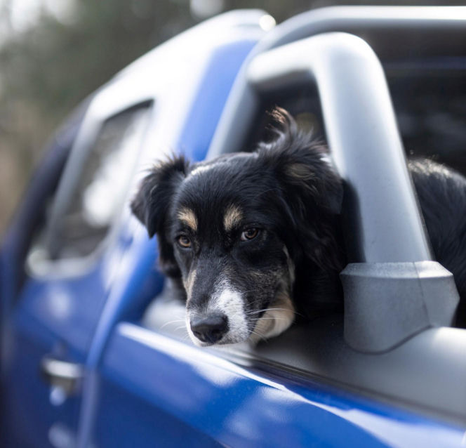 O Klarze, która jeździła koleją