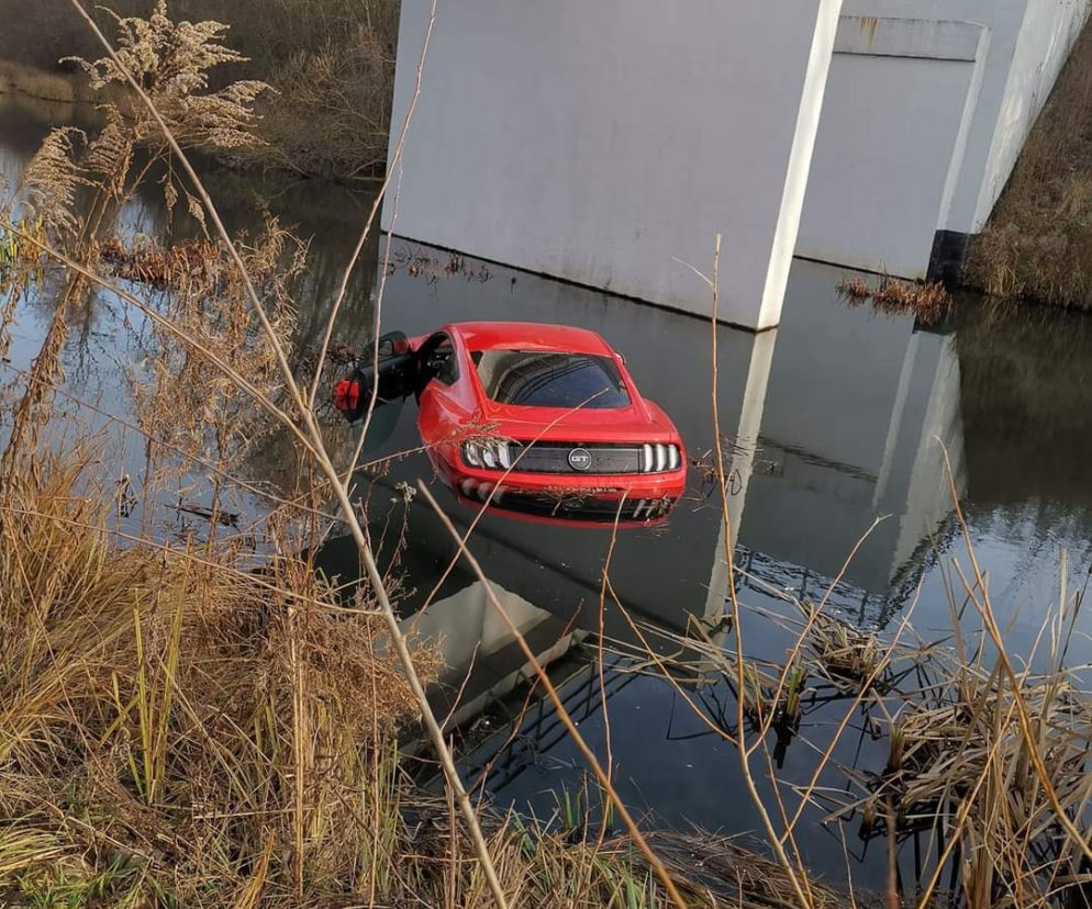 Szok w Dąbrowie Górniczej. Czerwony Ford Mustang wypadł z drogi i wylądał w rzece. A taki był ładny, amerykański
