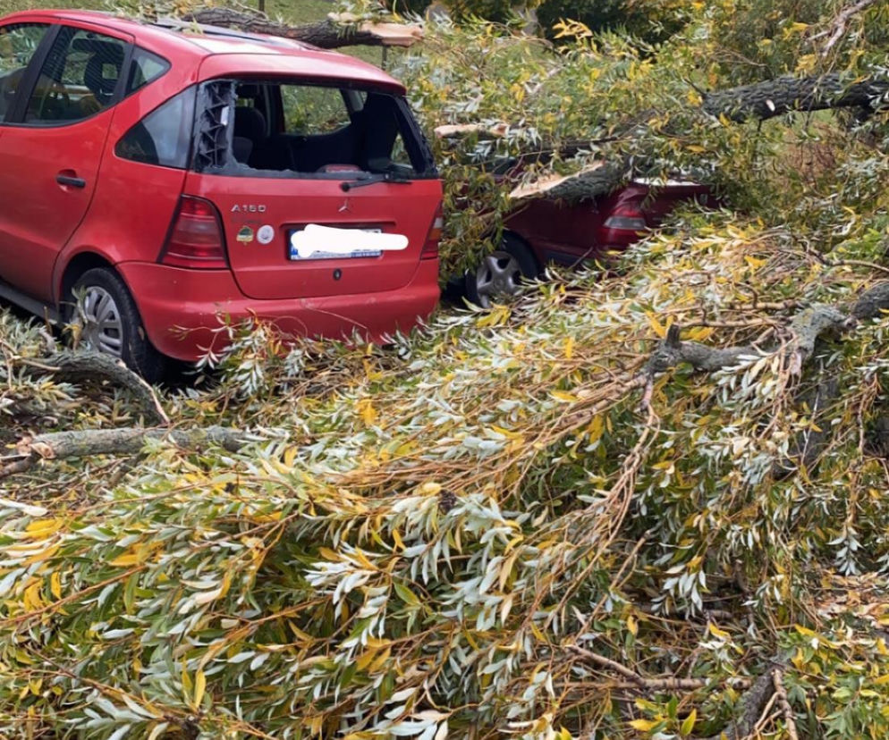 Wichury nad Wielkopolską i Poznaniem