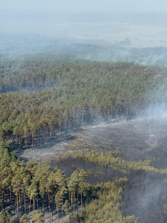 Ktoś podłożył ogień w Puszczy Solskiej? "Przyczyną mogło być podpalenie"