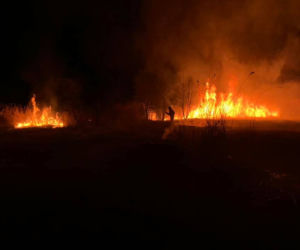 INFERNO w Żabnie! Sześć jednostek straży pożarnej walczyło z płomieniami