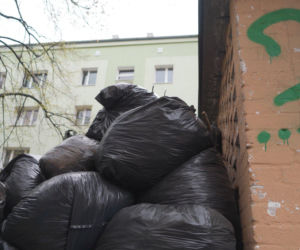 „Cały Grochów w szczurach!”. Mieszkańcy prawobrzeżnej Warszawy ponownie toną we własnych śmieciach